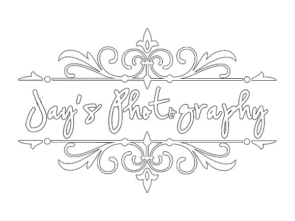 jays_full_logo_white