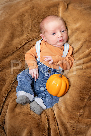 002_Kohen