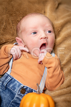 006_Kohen