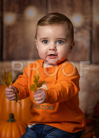 018_ColtonFallMini