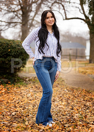 013_Regan