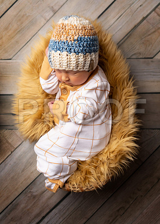 021_HoytNewborn