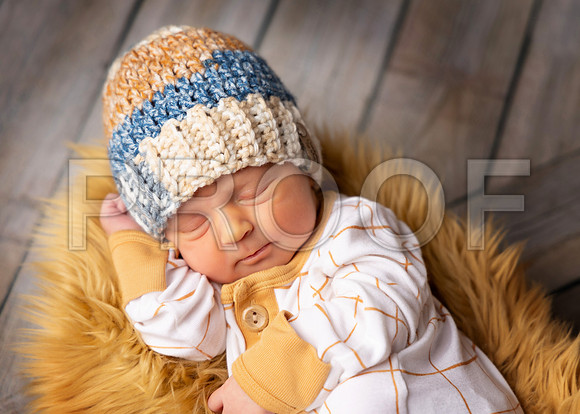 022_HoytNewborn