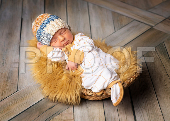 023_HoytNewborn