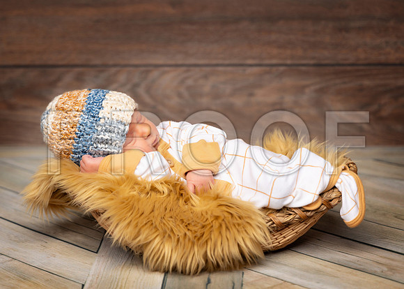 024_HoytNewborn