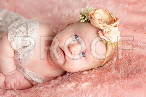 014_Oliva Kate Newborn
