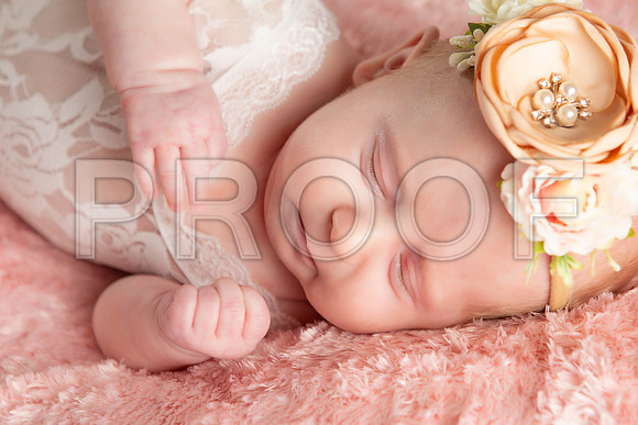 015_Oliva Kate Newborn