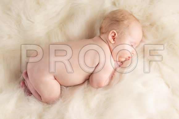 016_Oliva Kate Newborn